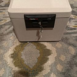 Sentry Fire Safe 