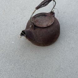 Metal Tea Pot For Plants