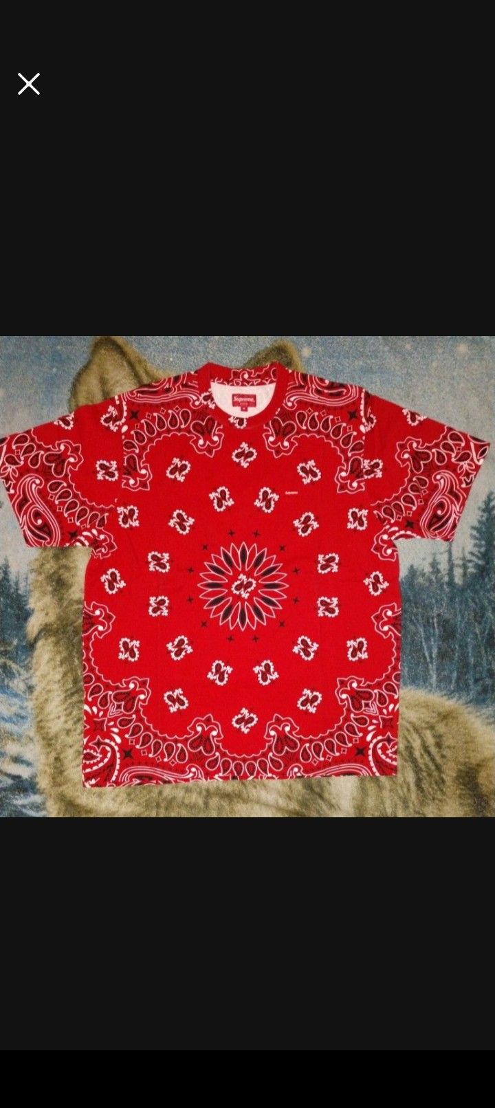 Supreme Clothing