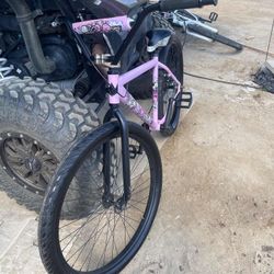 29er