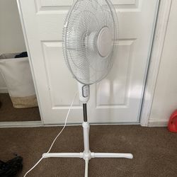 Rotation Fan 
