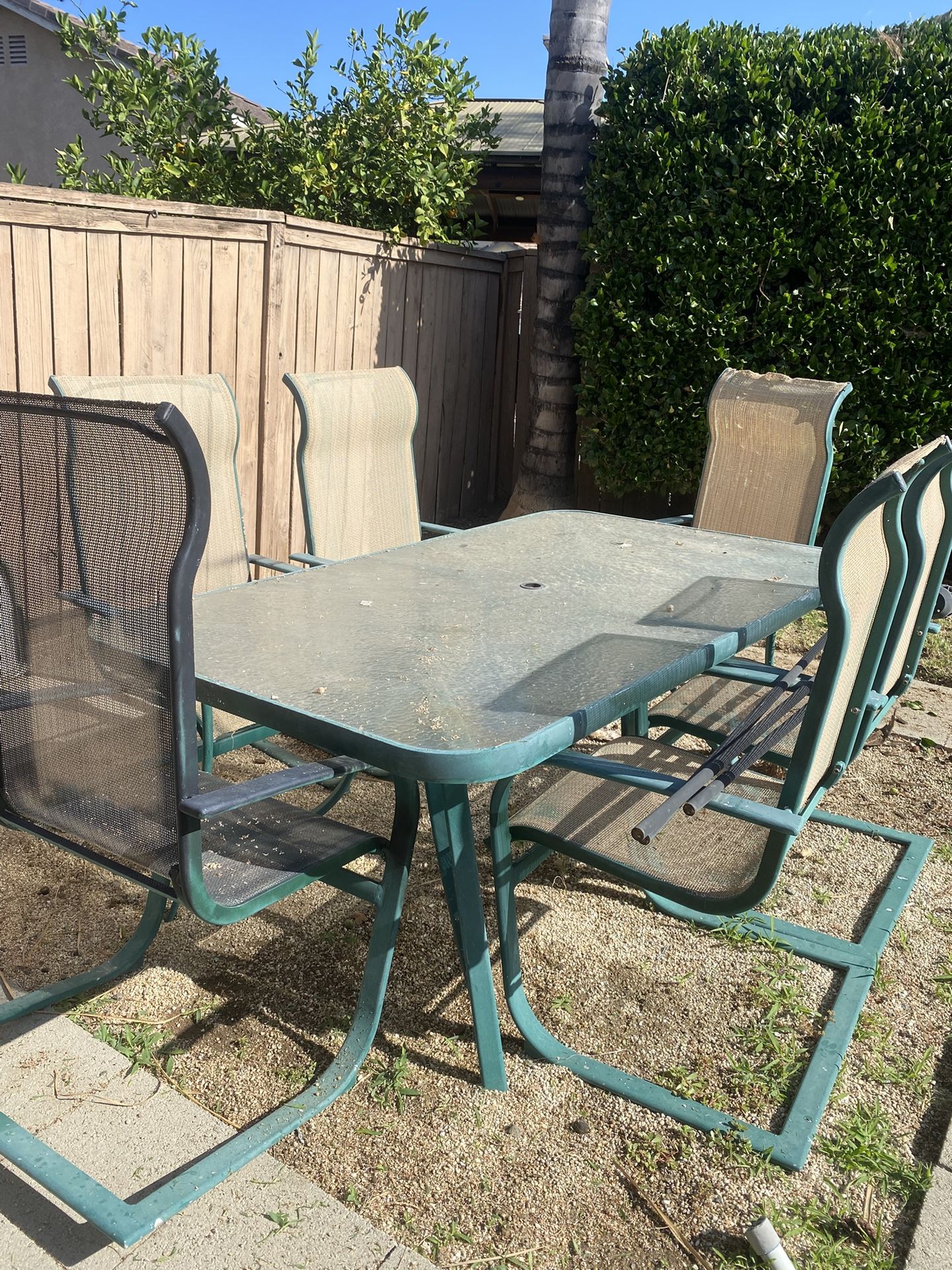 Backyard Table