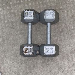 2 20LB Dumbbells 