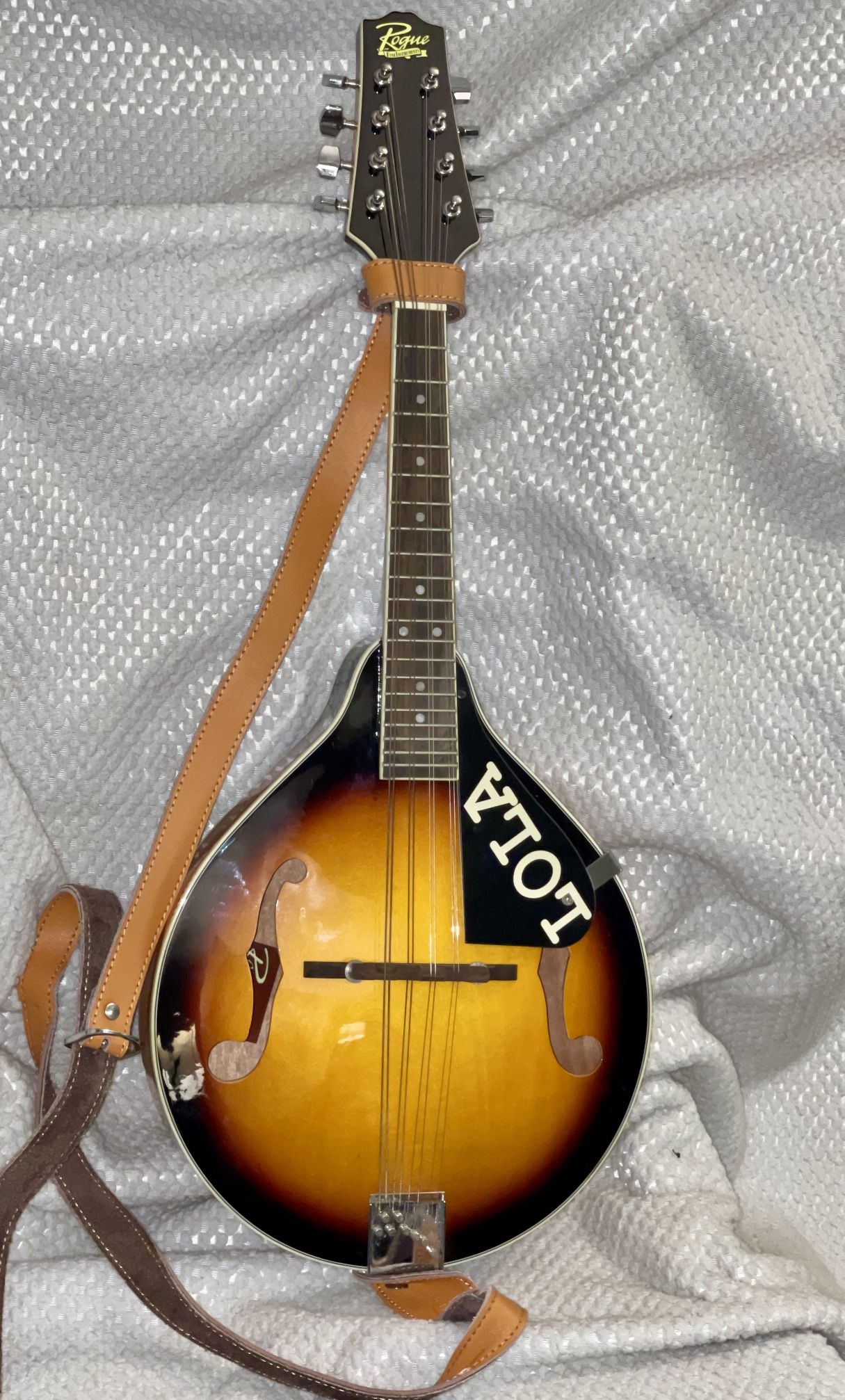  Mandolin  Make Offer-Rouge RM100A With Hard Case, Tuner & 8 Extra Strings 