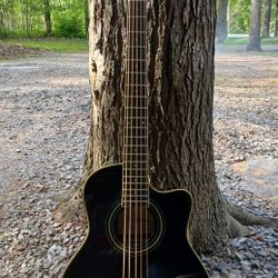 Brand New 5 String Acoustic Electric Bass Guitar 