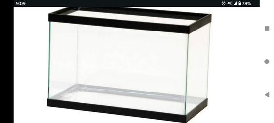 10 gallon tank