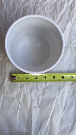 $3 White Pot for plants