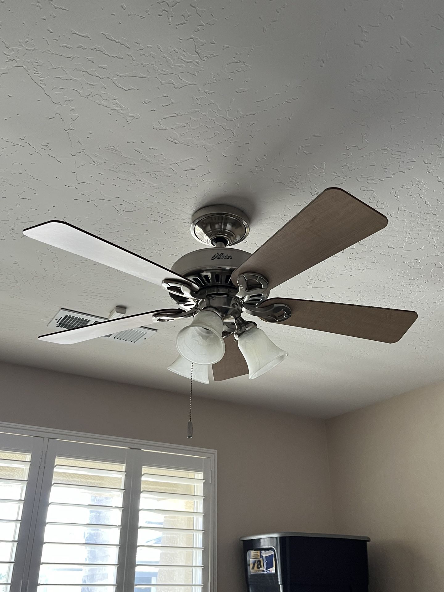 Ceiling fan