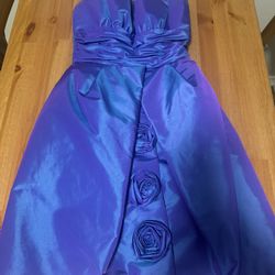 Blue Purple Dress 