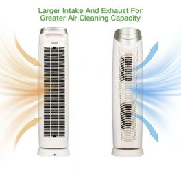 Purifier fan
