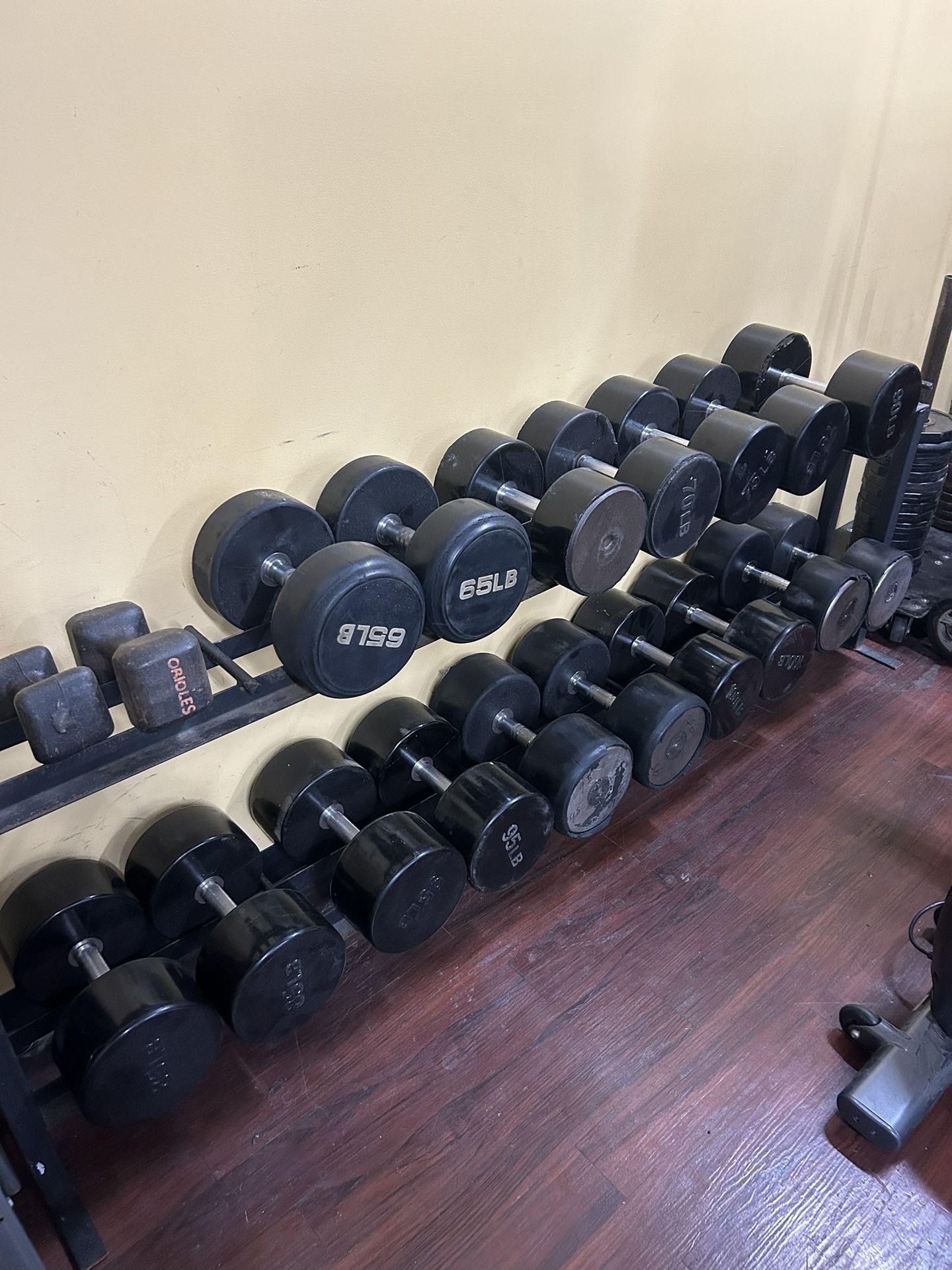 Rubber Head Dumbbells