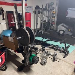 Gilds Gym Squat and Bench, Olympic Weights, Dip Station