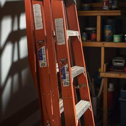 Warner 6 Foot Fiberglass Step Ladder