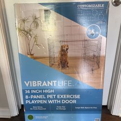Pet Exercise 