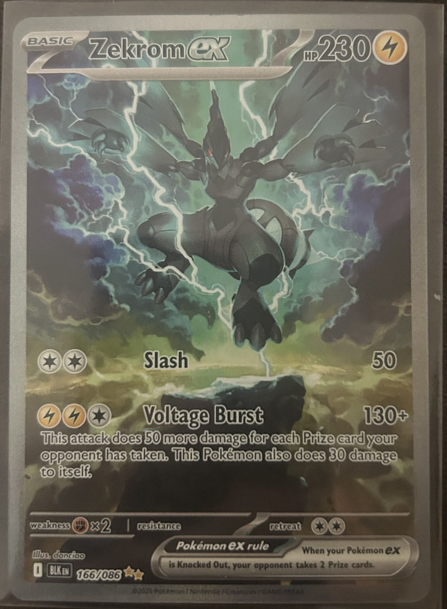 Zekrom & Garchomp 