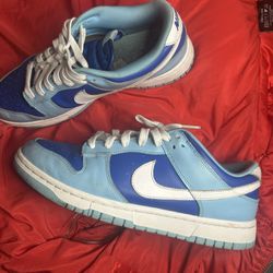 Blue Argon Dunk Low Size 10