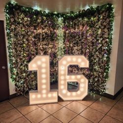 Marquee Numbers 