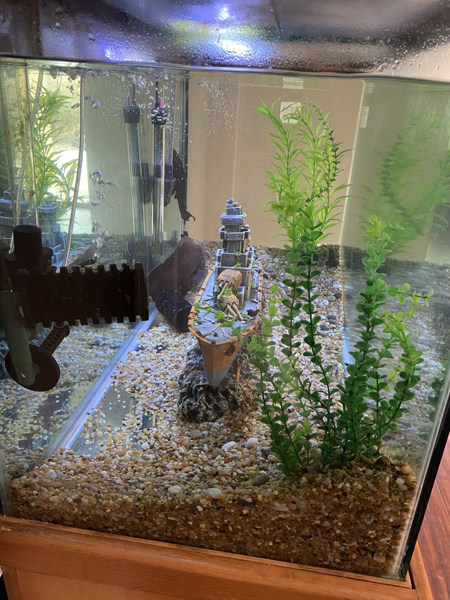 70 Gallon Fish Tank for Sale in AZ, US - OfferUp