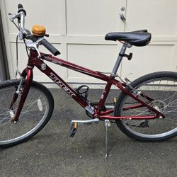 Bicycle 7 Speed 13"