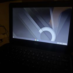 Dell Chromebook 3100