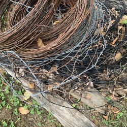 Barbed wire