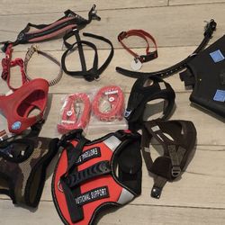 Small Dog Accessories