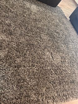 Large Brown Shag Area Rug