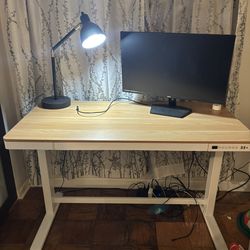 Adjustable Standing Desk