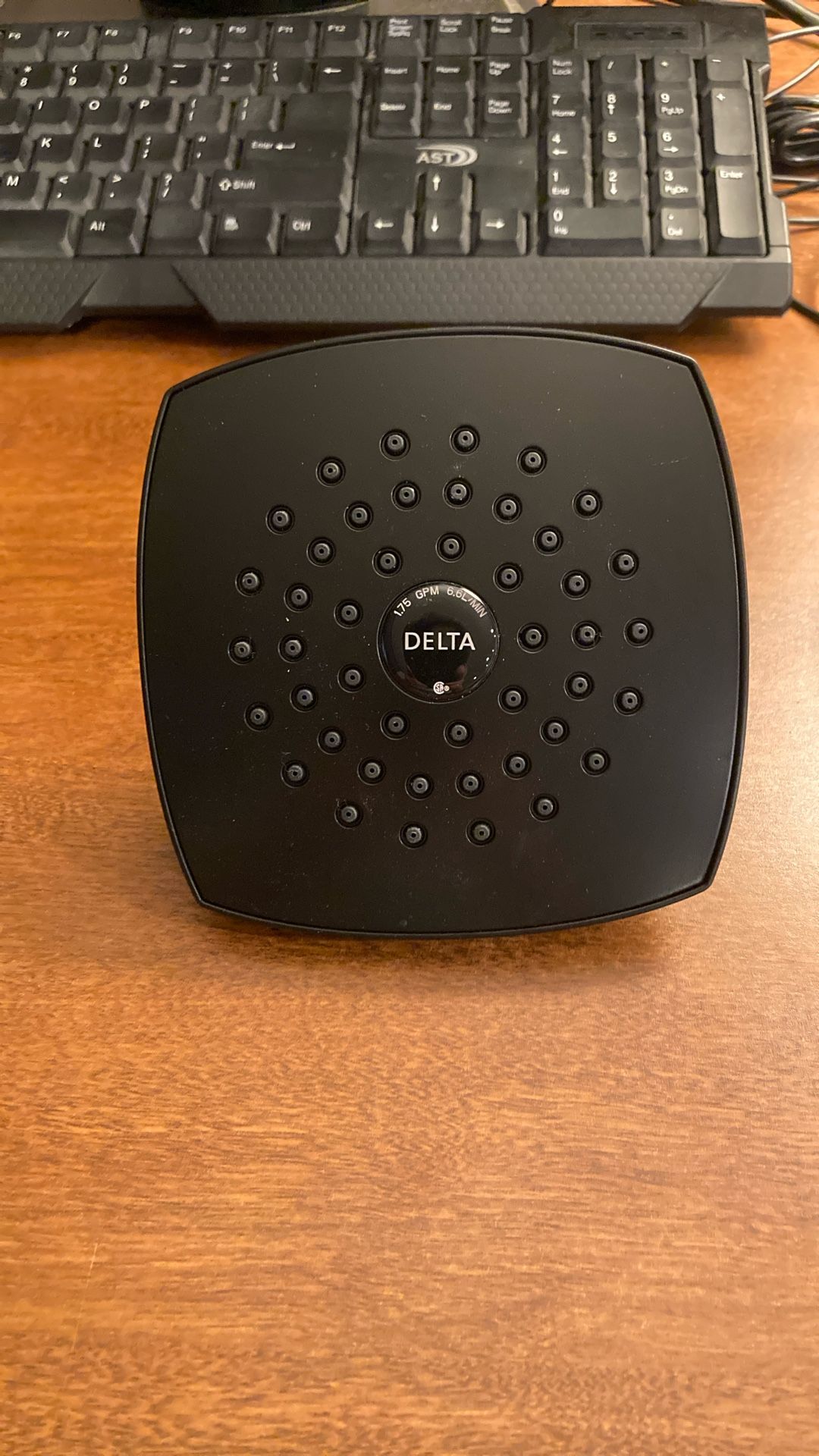Delta Black Shower Head