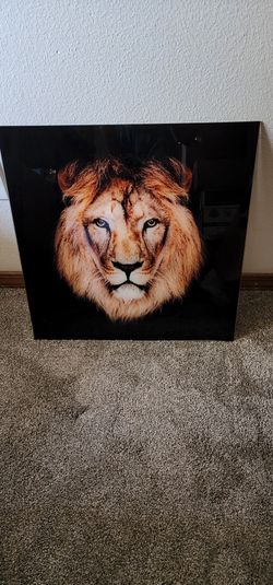 Lion Picture