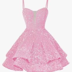 Sequin Short Dress Size 4