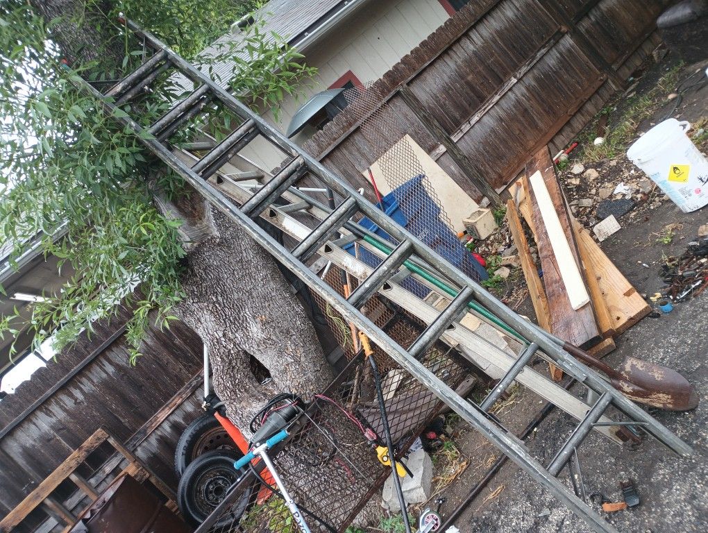 Extension Ladder 75