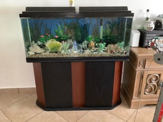 55 gallon fish tank and stand