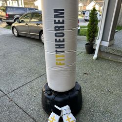 Fit Theorem Free-Standing Punching Bag + Premium Gloves