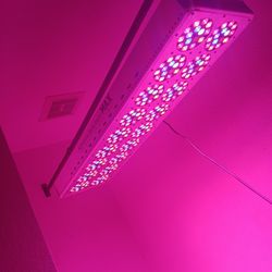 Grow Light.    Larg