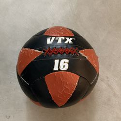 16 LB Wall Ball