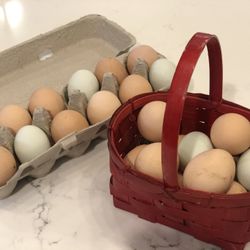 Organic Egg, Fresh Eggs, Farm Eggs, Free Range Chicken Eggs, Backyard Chicken Eggs