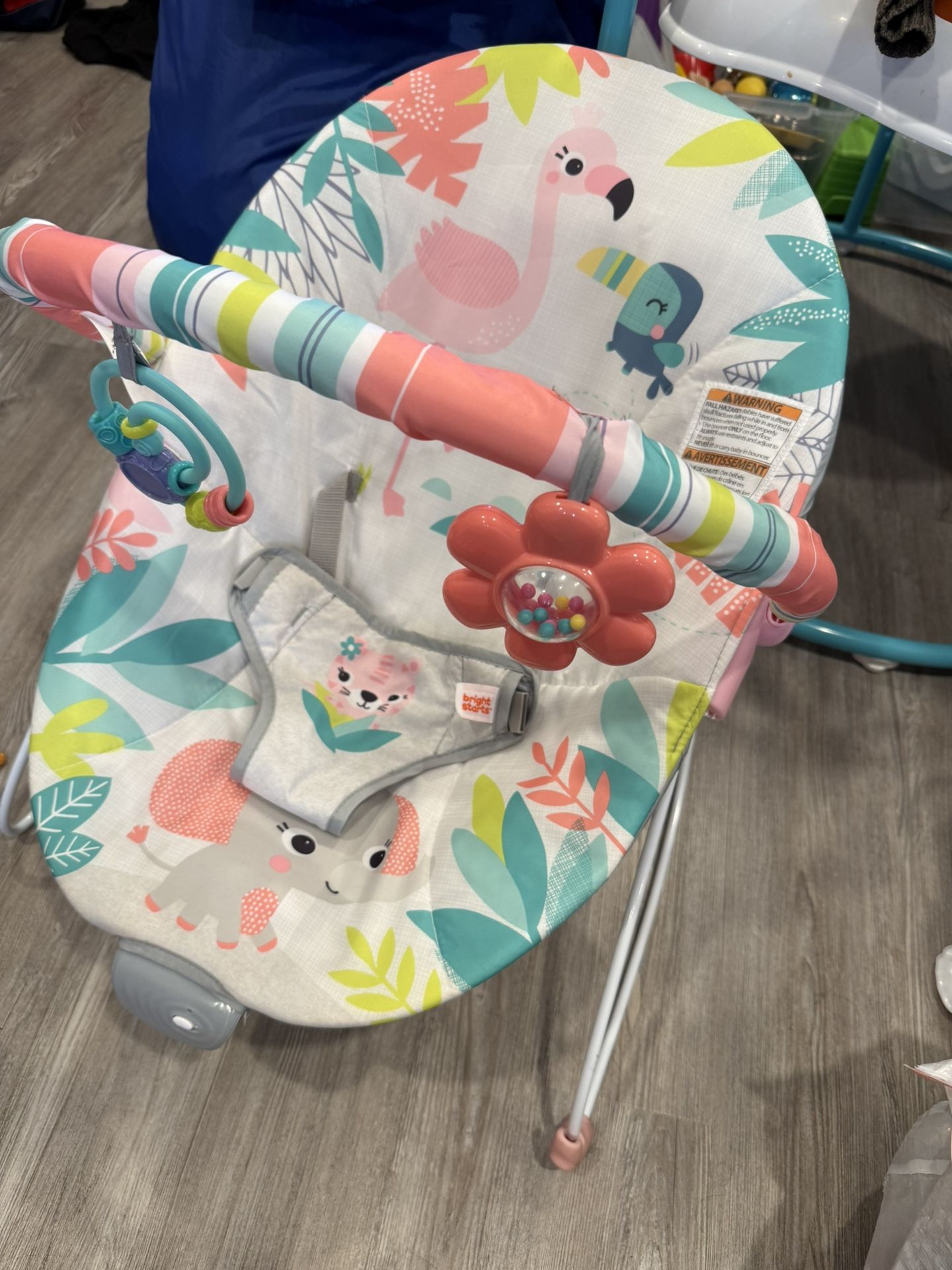 Baby Bouncer Bright Start