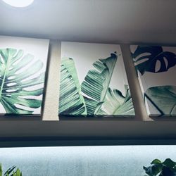 Picture Frame Tropical