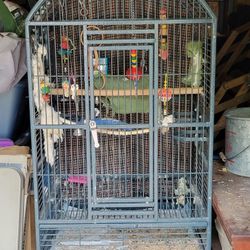 Large Bird Cage