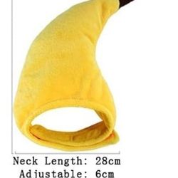 Halloween Pet Costume 