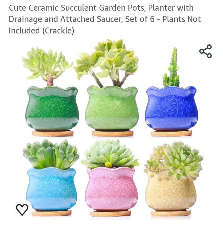 New 6pk Succulent Pots 