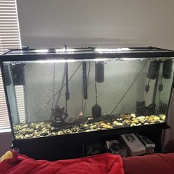 60 gallon tank with stand