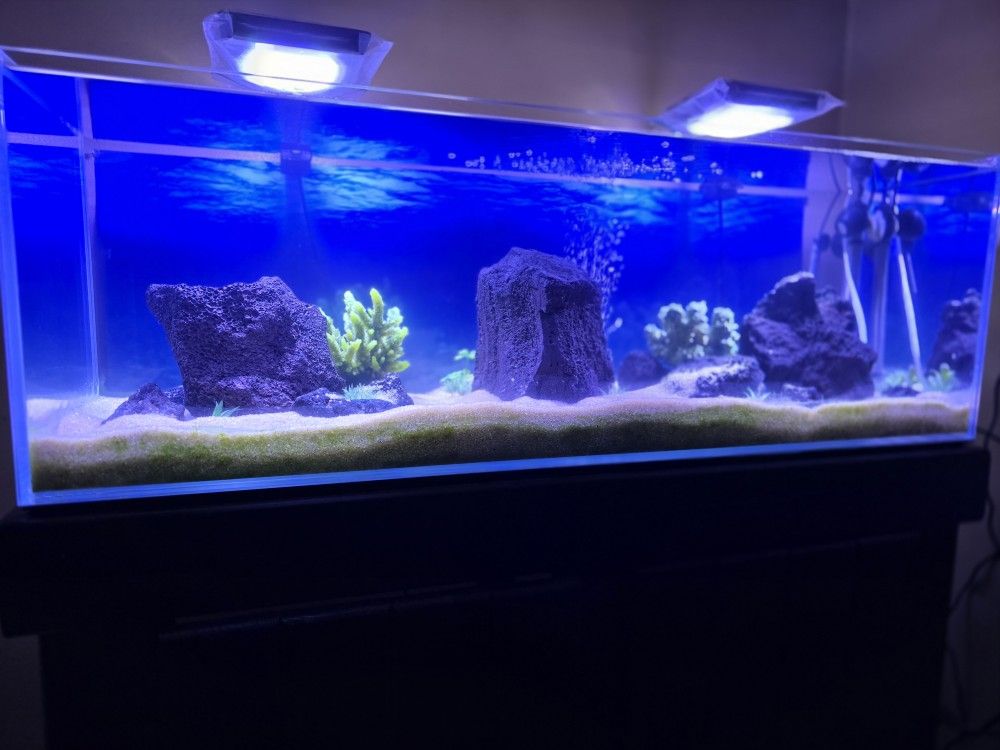 Brand New 22 Gallon Aquarium Low Iron Glass 