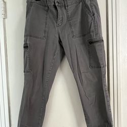 Skinny Ankle Fitted Pants Grey 10P