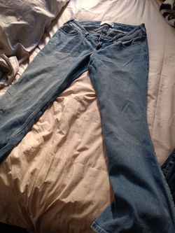 Hollister