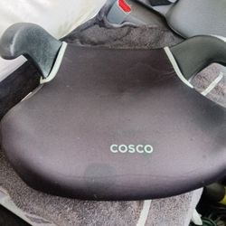Costco Booster Seat