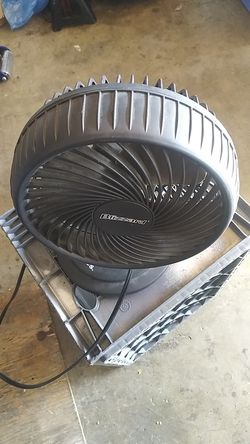 Fan