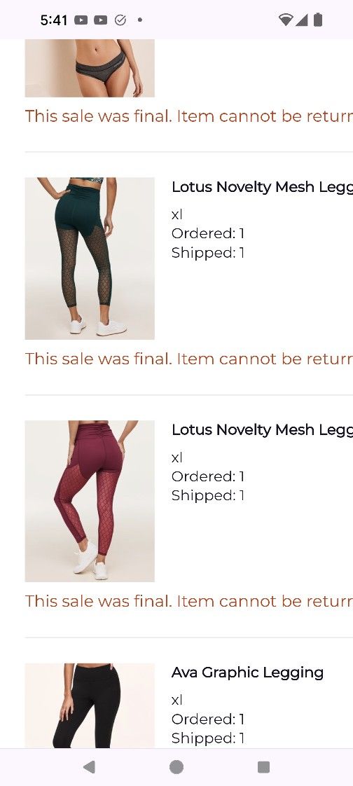 Brand New Mesh Leggings