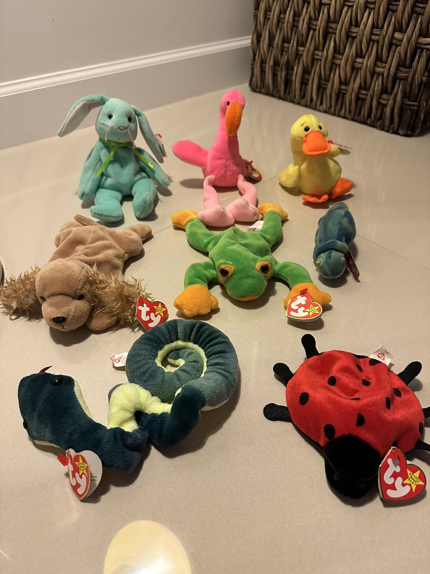 Beanie Baby 8 Piece Collection 